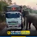 ไอ้ดื้อหกหก-ช้างป่าฤาไน-ปิดถนน-3076-ตั้งด่านลอยปล้นรถบรรทุกพ่วง-18-ล้อ-ขนส่งอ้อย-–-topnews